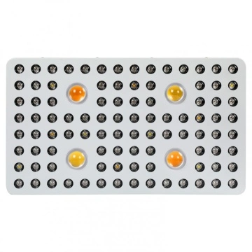 2000W COB Led Grow Lights China Manufacturer